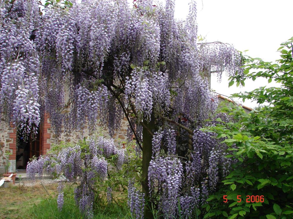 Gîte climatisé de La Haute Rue Touvois Extérieur photo